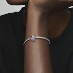 Pandora Талисман Щастливо обвързани