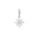 Thomas Sabo Charm, колекция Charm Club