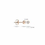 Blush Обеци 14k