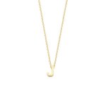 Blush Колие 14k, Буква J