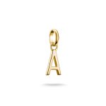 Thomas Sabo Charm Connect Charm
