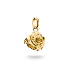 Thomas Sabo CC Charm