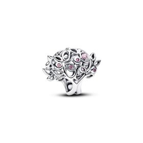 Няма бъдеще без минало