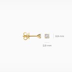 Blush Обеци 14k