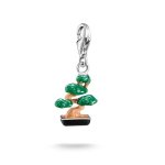Thomas Sabo Charm