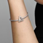 Pandora Талисман Приказна каляска