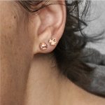 Pandora Обеци Животът е интересен