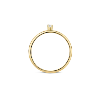 Blush Пръстен 14k