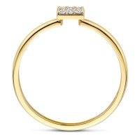 Blush Пръстен 14k