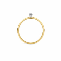 Blush Пръстен 14k