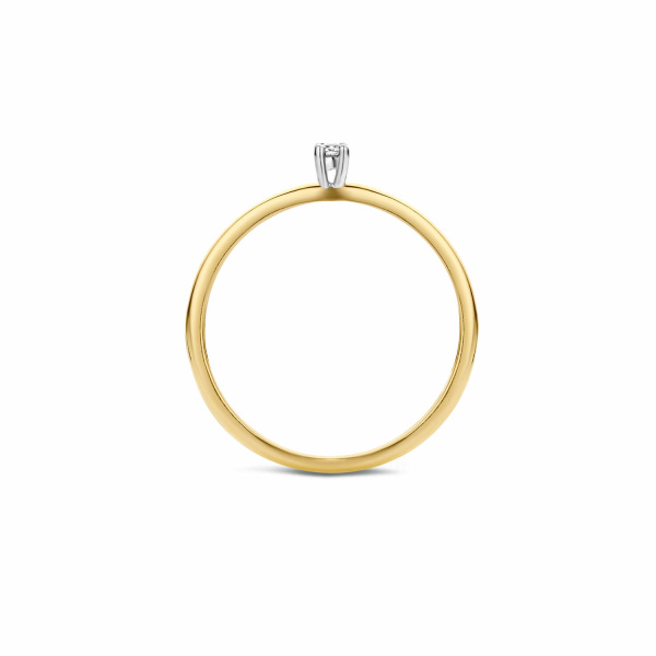 Blush Пръстен 14k