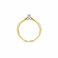 Blush Пръстен 14k