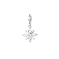 Thomas Sabo Charm, колекция Charm Club