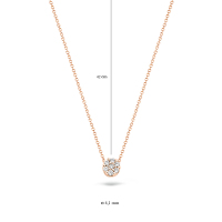Blush Колие 14k