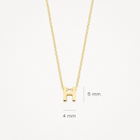 Blush Колие 14k, Буква H