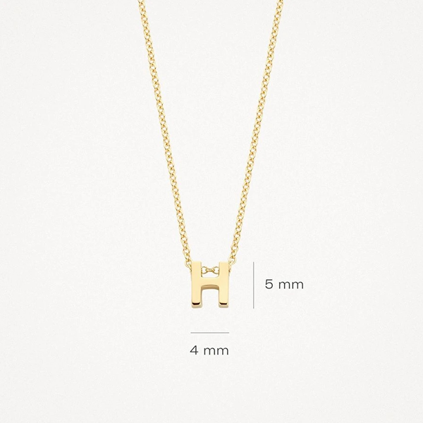 Blush Колие 14k, Буква H