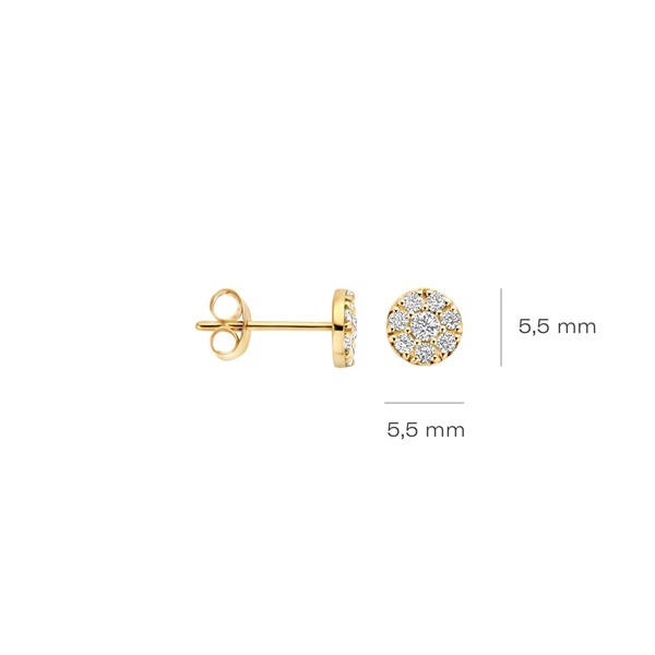 Blush Обеци 14k