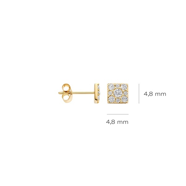 Blush Обеци 14k