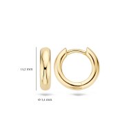 Blush Обеци 14k