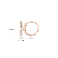 Blush Обеци 14k
