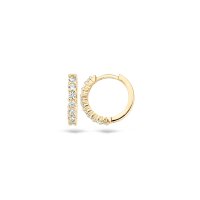 Blush Обеци 14k