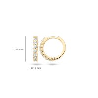 Blush Обеци 14k