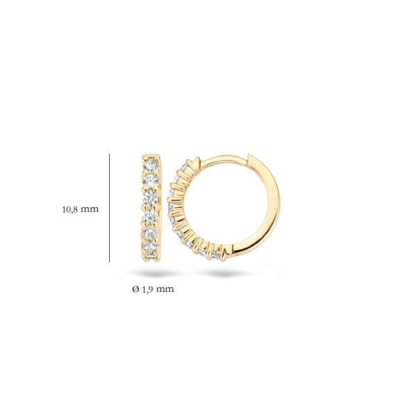 Blush Обеци 14k