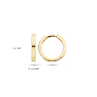 Blush Обеци 14k