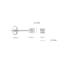 Blush Обеци 14k