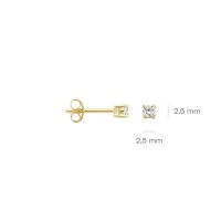 Blush Обеци 14k