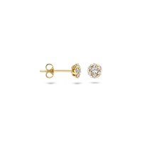 Blush Обеци 14k