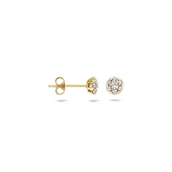 Blush Обеци 14k