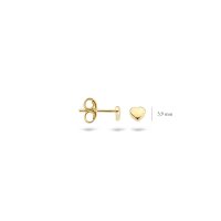 Blush Обеци 14k