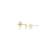 Blush Обеци 14k