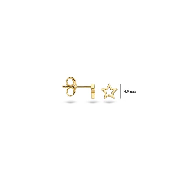 Blush Обеци 14k