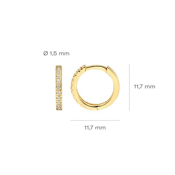 Blush Обеци 14k
