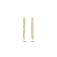 Blush Обеци 14k