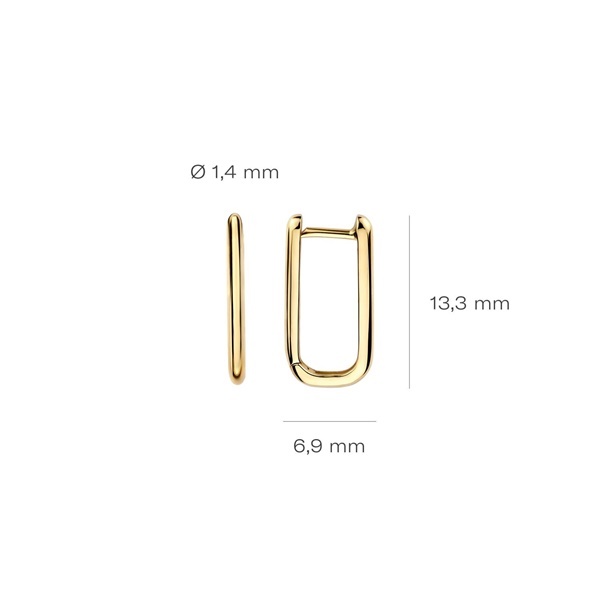 Blush Обеци 14k