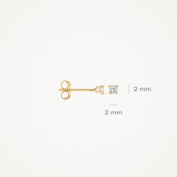 Blush Обеци 14k