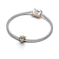 Disney x Pandora Талисман Раджа
