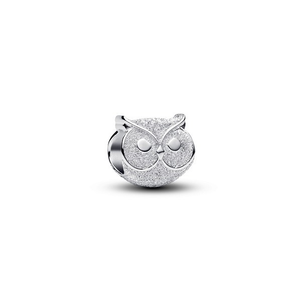 Pandora Мини Талисман Знай и бъди