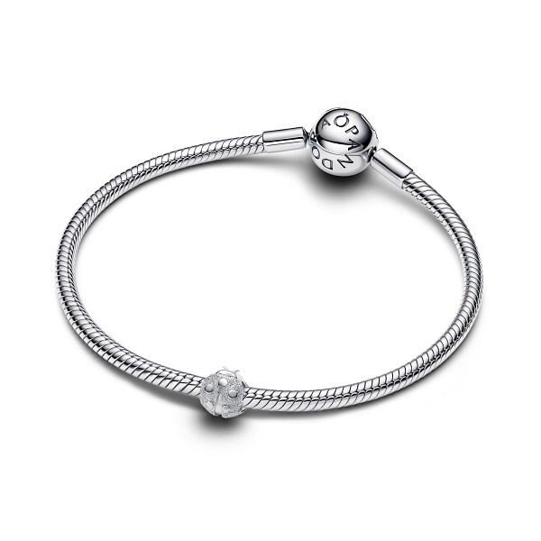 Pandora Мини Талисман Защита и късмет