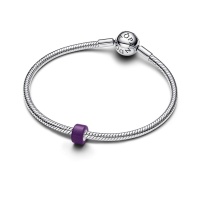 Pandora Мини Талисман Малките моменти