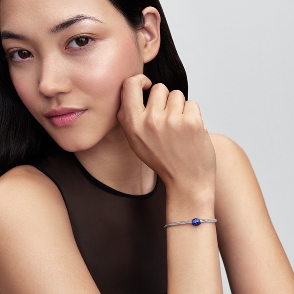 Pandora Мини Талисман Скрита красота