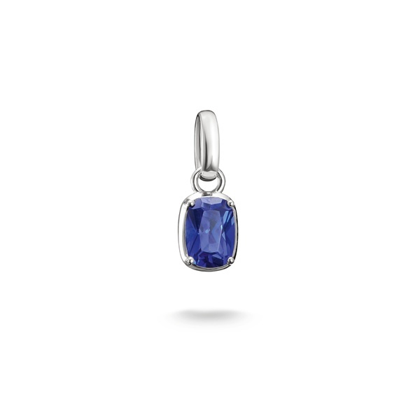 Thomas Sabo Charm Connect Септември