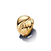 Pandora Пръстен Едно цяло