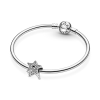 Pandora Талисман Звезден миг