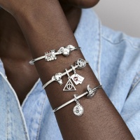 Harry Potter x Pandora Талисман висулка Дом Слидерин