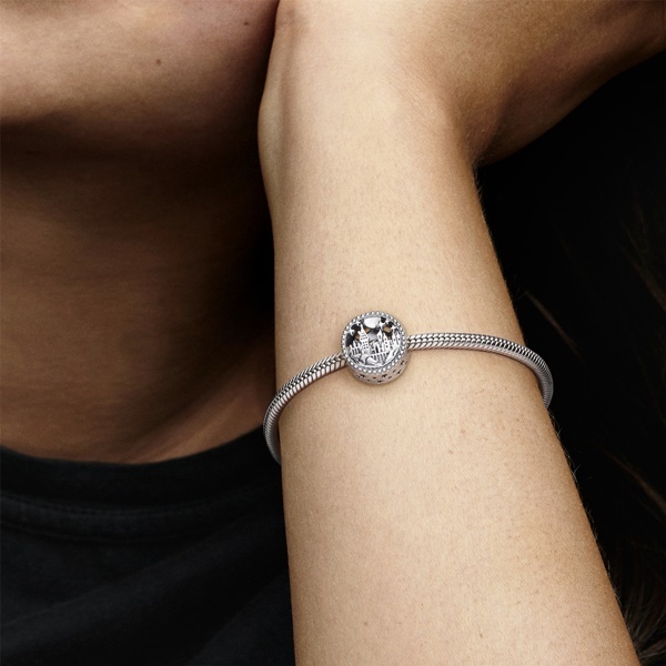 Harry Potter x Pandora Талисман Хогуортс