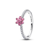 Pandora Пръстен Красотата на природата